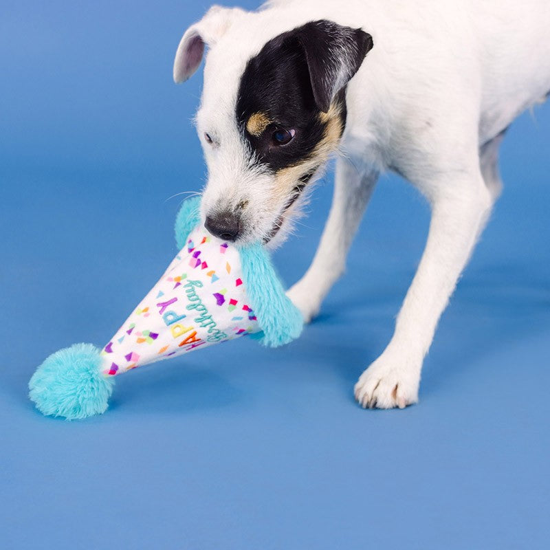 Fringe - Yappy Barkday - Treat Dispencer